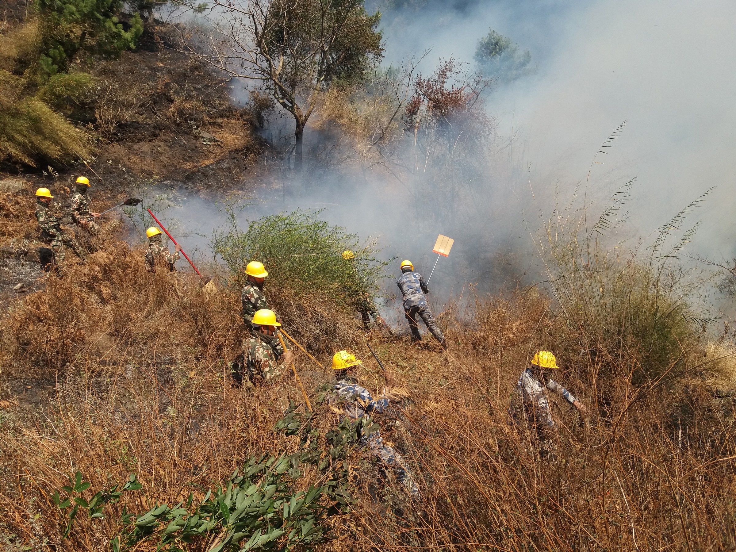 Ravaging fire comes near to human settlements; collective efforts on to douse inferno