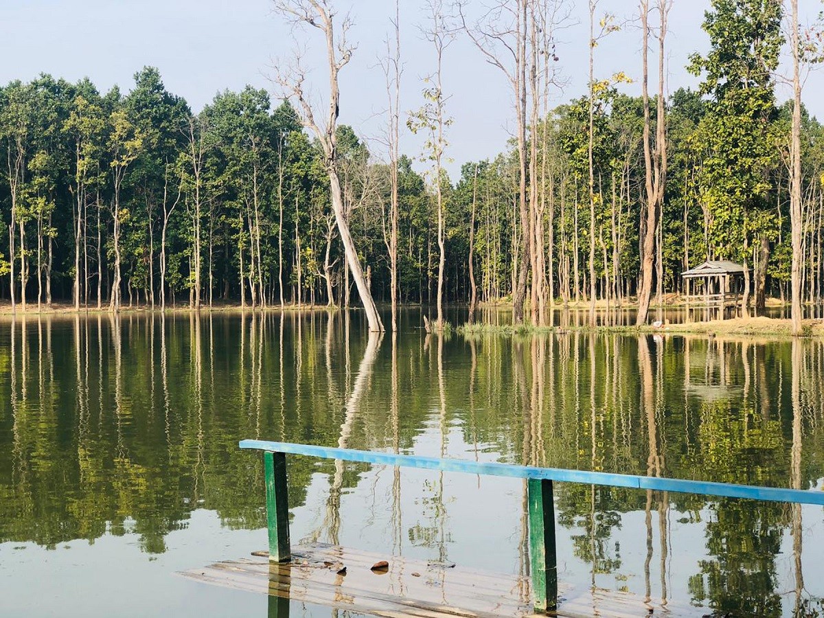 Beautiful Amaha Wetland Area.