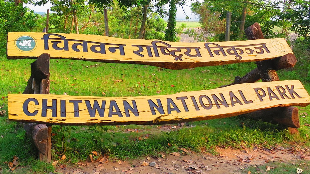 Rhino, tiger found dead in Chitwan National Park area