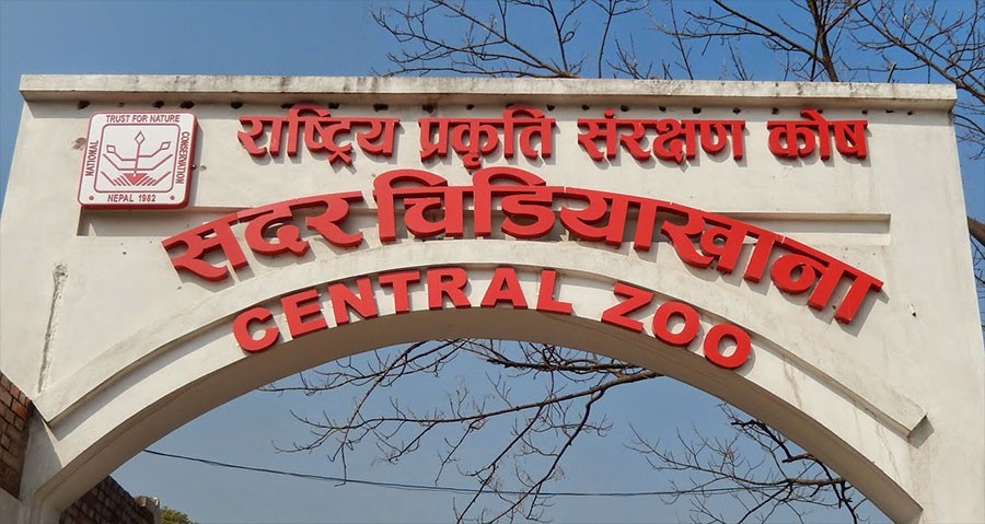 Number of individuals, organisations taking guardianship of wildlife in Zoo increasing