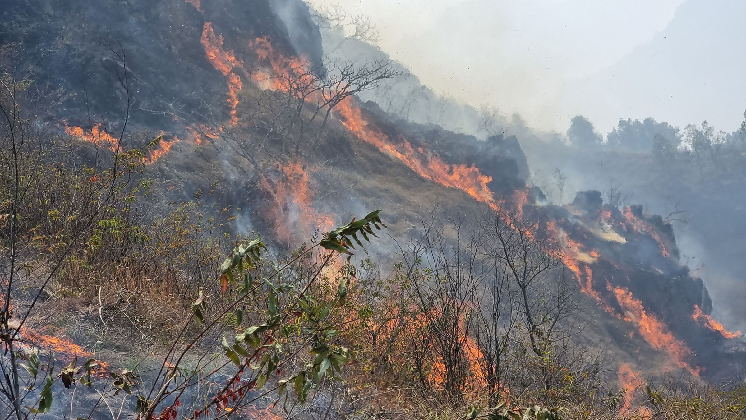 Bushfires reported in Triyuga's community forests