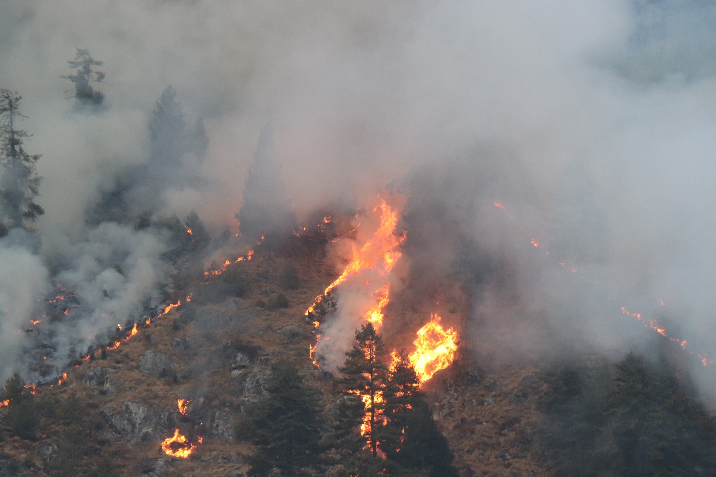 Bushfires burning in 2 thousand hectares forest: Smoke covers Nawalpur area