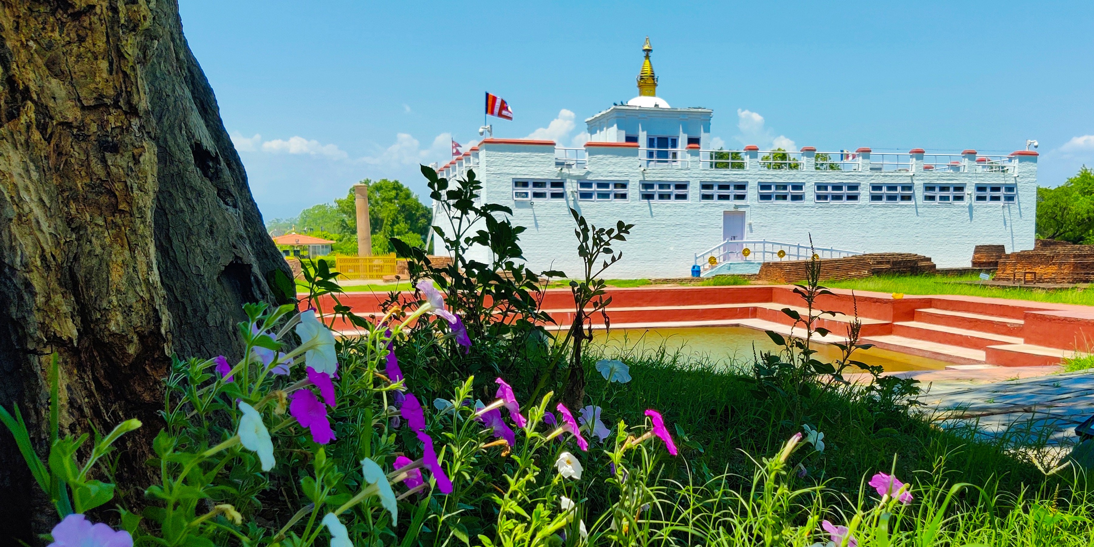 2565th Buddha Jayanti being marked today; butter lamp illumination to take place in Lumbini