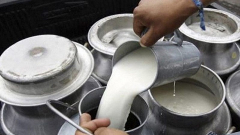 दैनिक रु १० करोड बराबरको दूध नोक्सान हुँदै