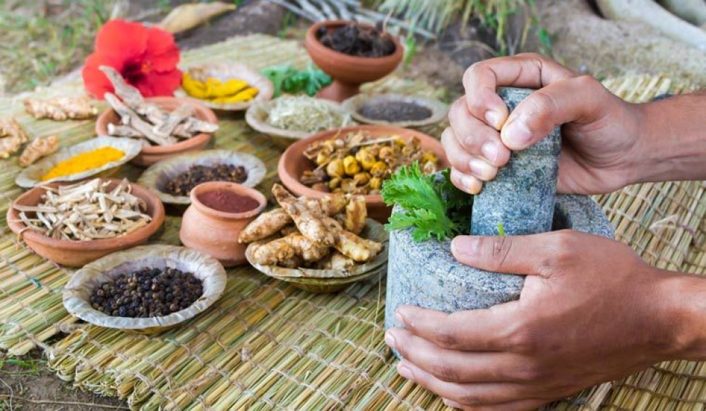 कोरोनाले बढायो आर्युेवेदिक औषधिको महत्व