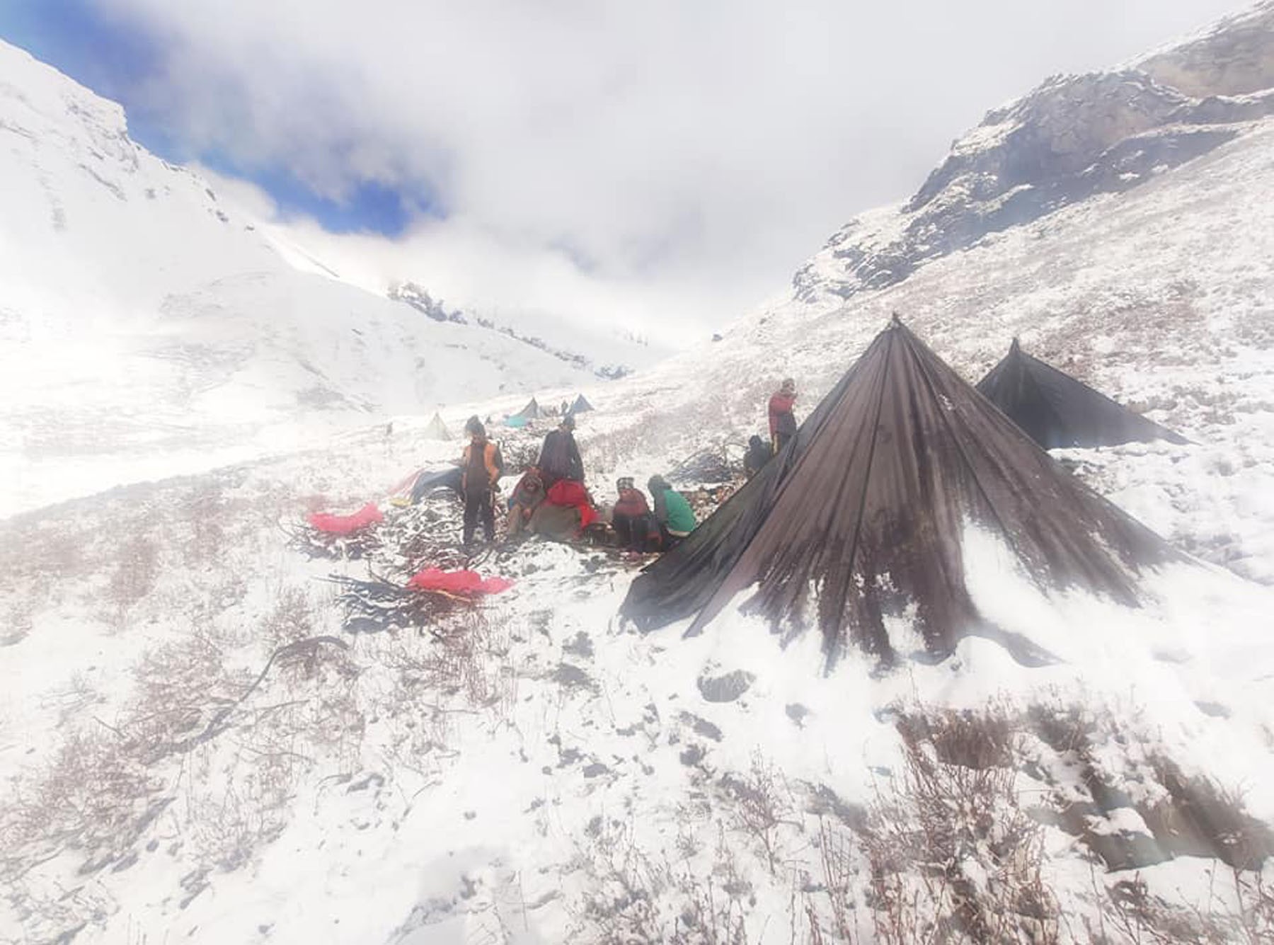 यार्सागुम्वा सङ्कलनका लागि पाटनमा पुगेका स्थानीयवासीहरु