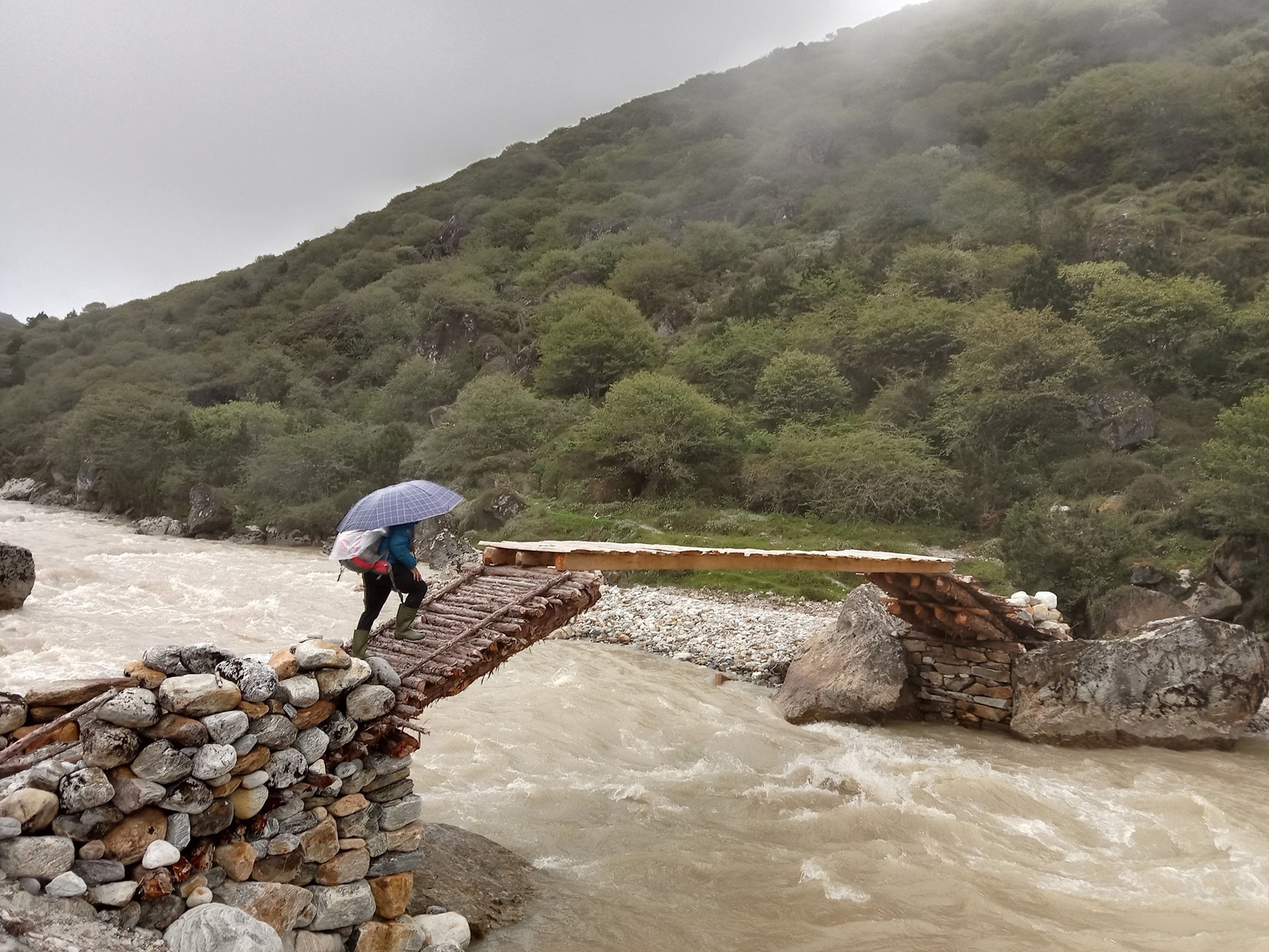 Wooden bridge