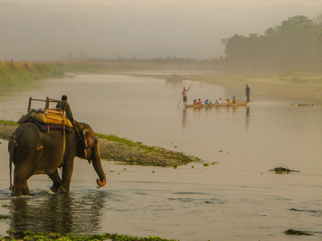 Tourist arrival down in Chitwan 