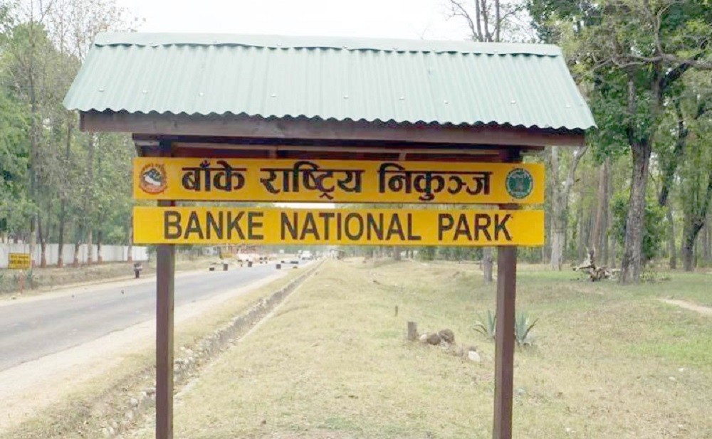 Untimely death of wildlife in Banke National Park on rise