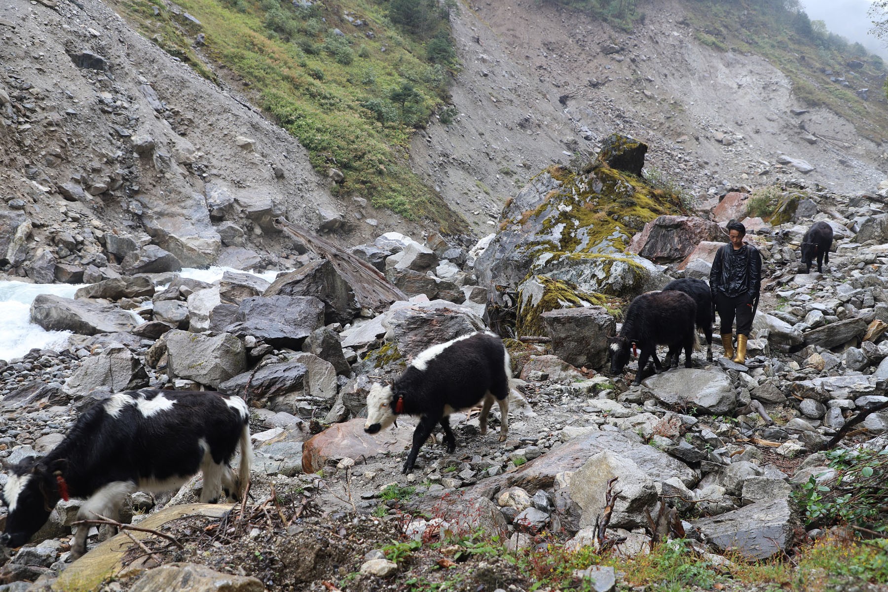 लेकाली समुदायमा न दसैँ आउँछ न त तिहार