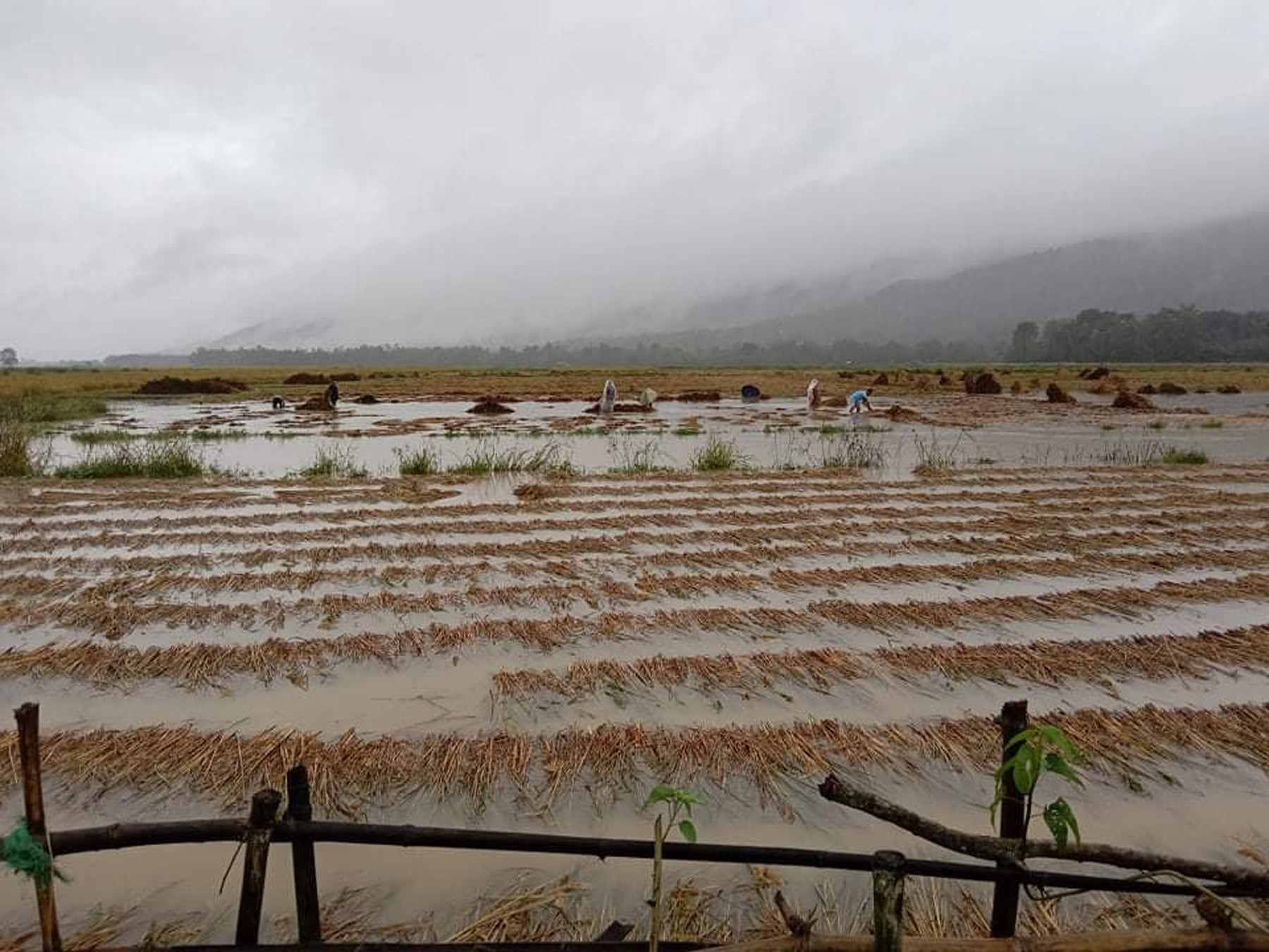 Active monsoons brings heavy rain; Sudurpaschim mostly affected