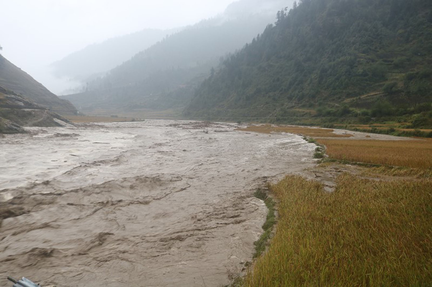 बेमौसमी वर्षाको पीडा: १८ को मृत्यु, ३३ सम्पर्कविहीन