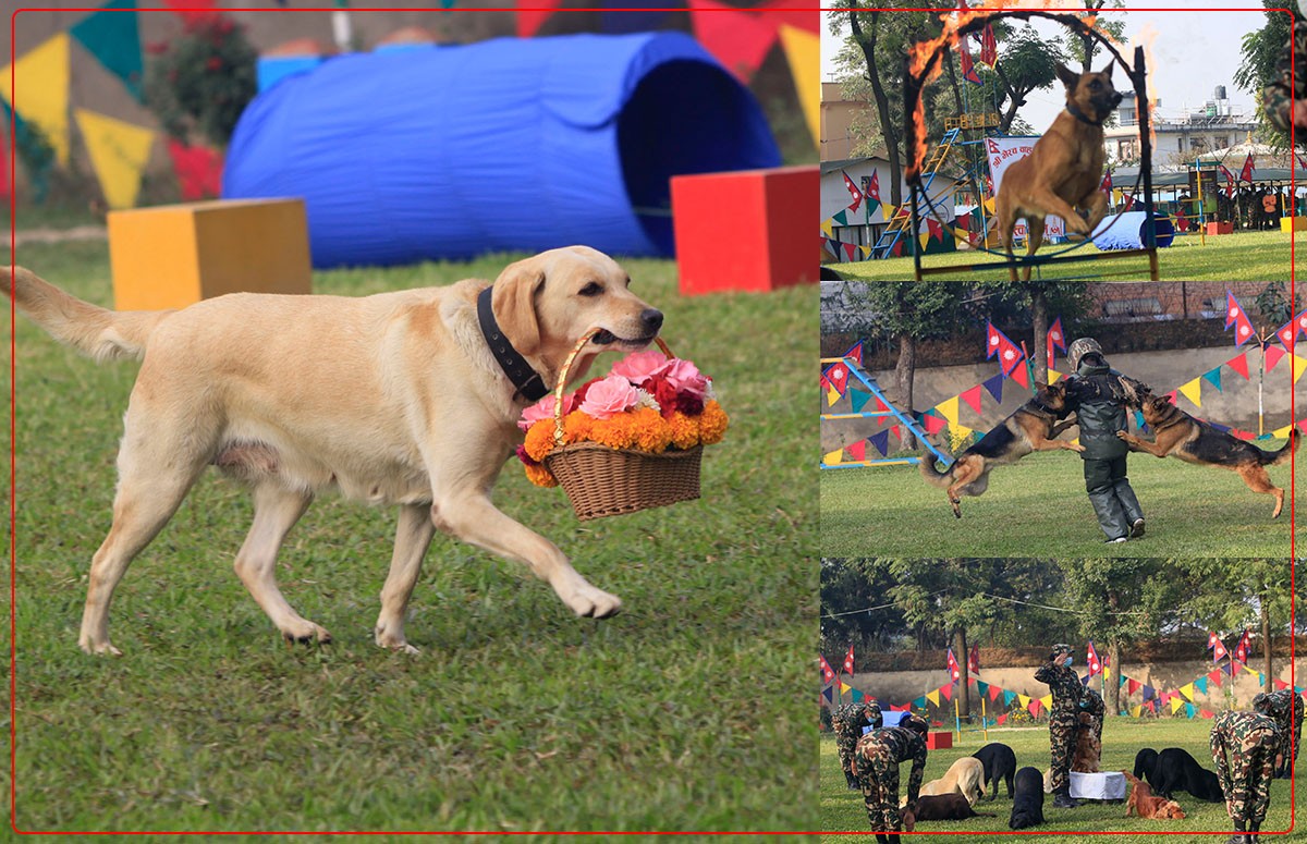 Nepali Army worships dogs on Kukur Tihar