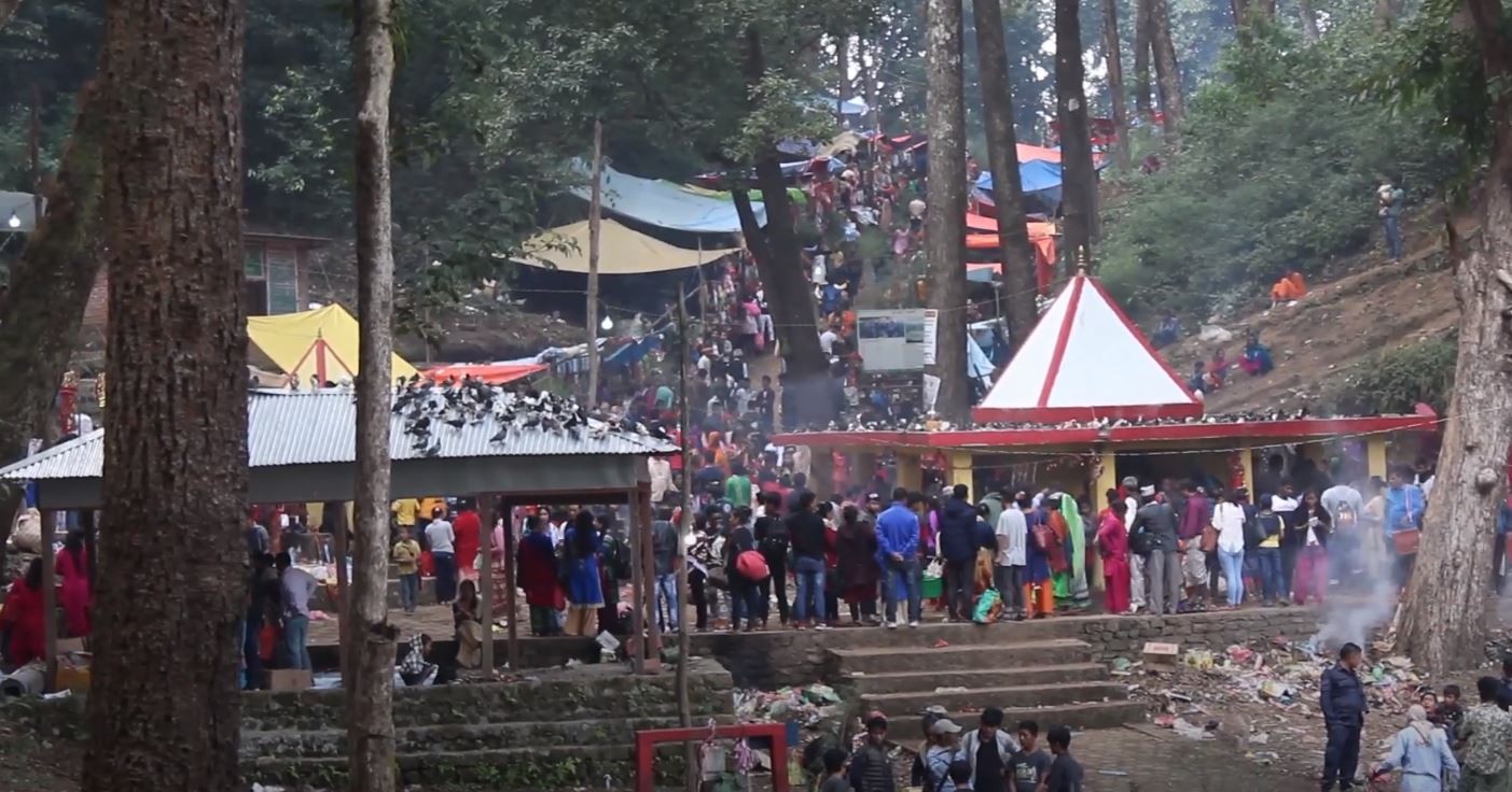 पाल्पामा चिच्याएर वर माग्ने मेला
