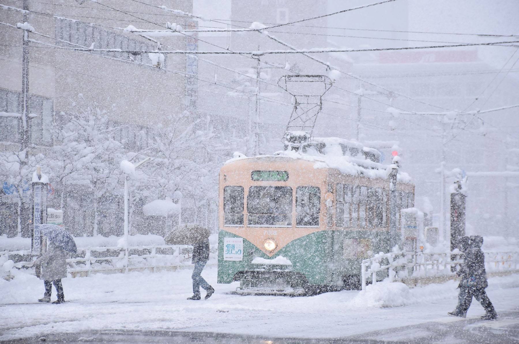 Heavy snow causes travel chaos in Japan