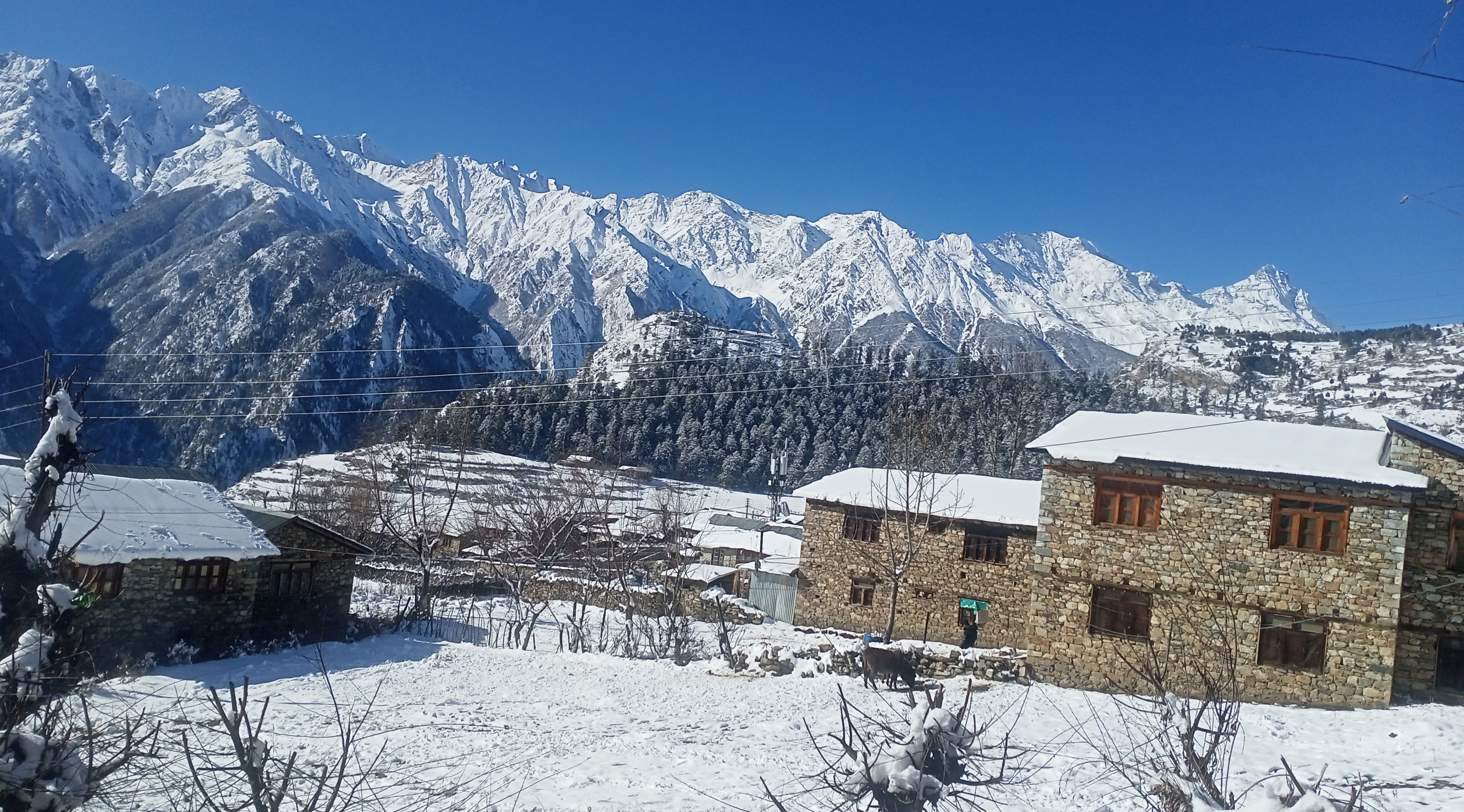 Snow-covered Simkot Bazaar