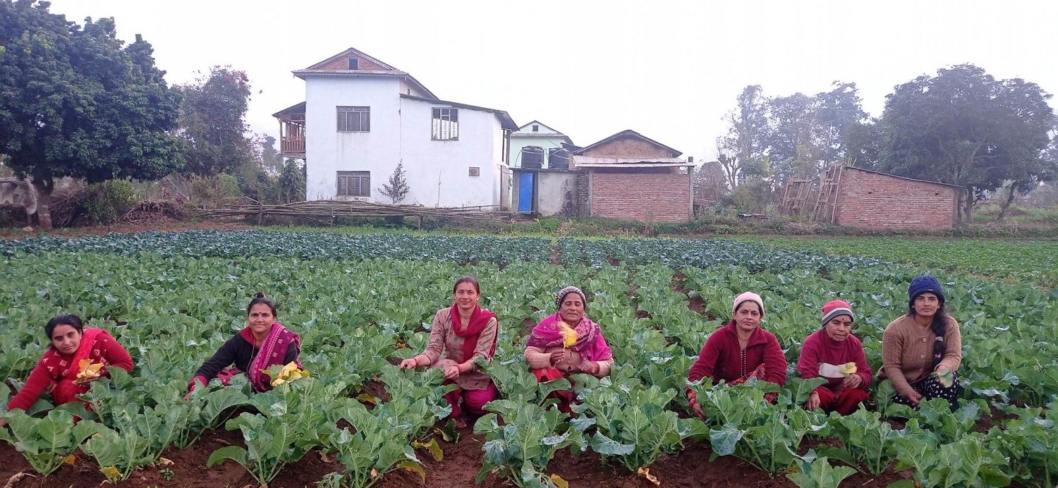 तरकारी खेतीले फेरिएको महिलाको दैनिकी