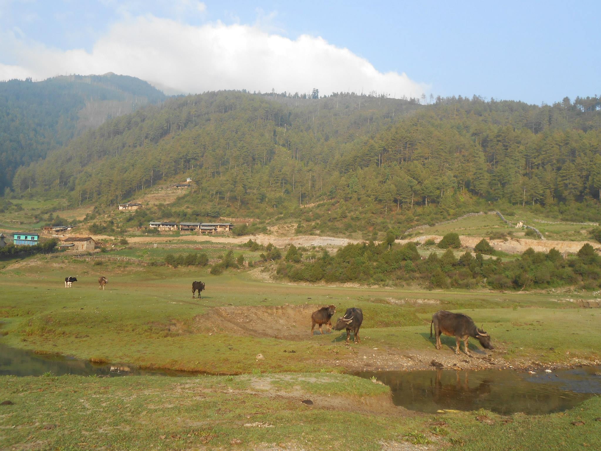 ढोरपाटन पुगे नौ हजार पर्यटक