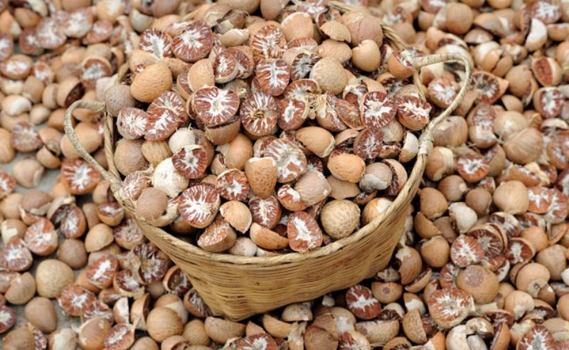सुपारी र कुखुराको अवैध आयात रोक्न माग