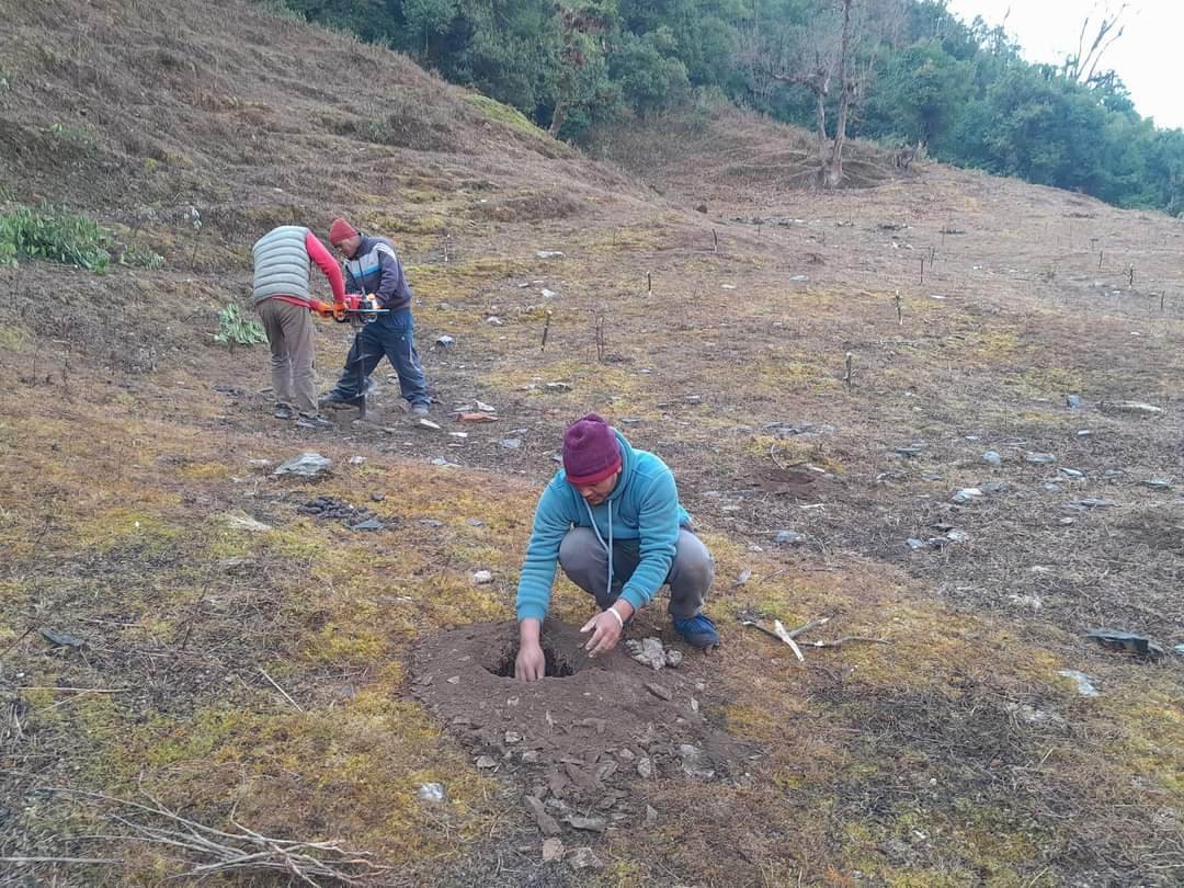 बाँझो जमिनमा फलफूल खेती